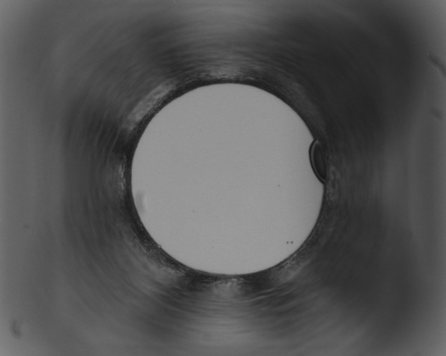 X0000103230116200809251313