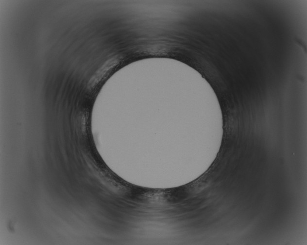 X0000103230120200809251313