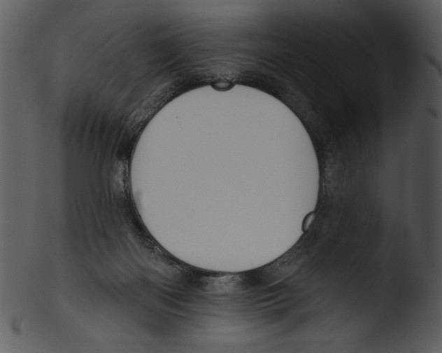 X0000103230122200809251313