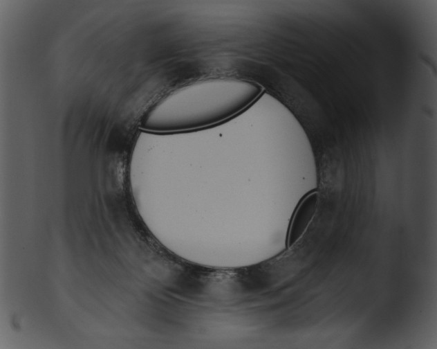 X0000103230124200809251313