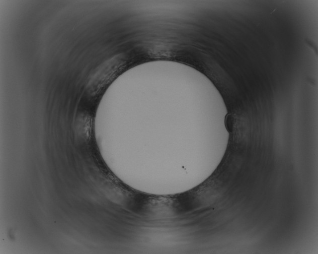 X0000103230125200809251313