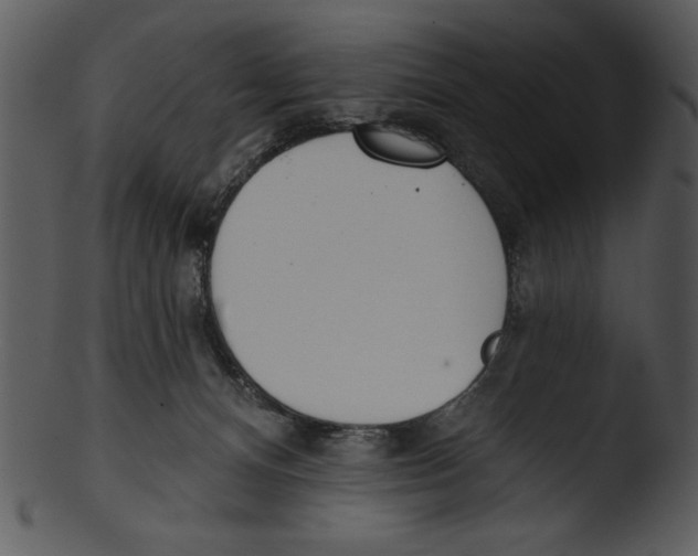 X0000103230128200809251313