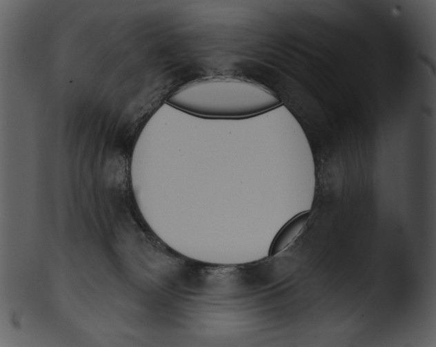 X0000103230132200809251313