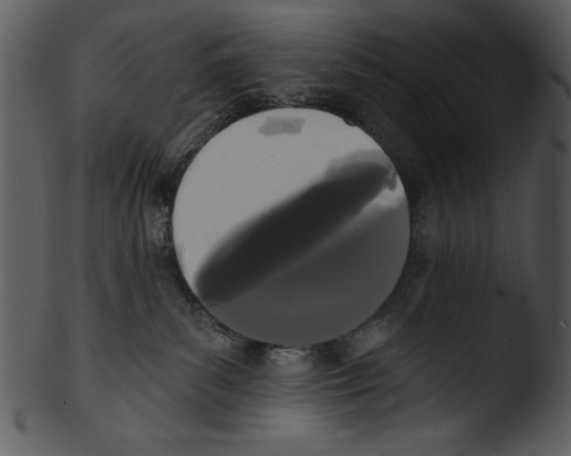 X0000103230139200809251313