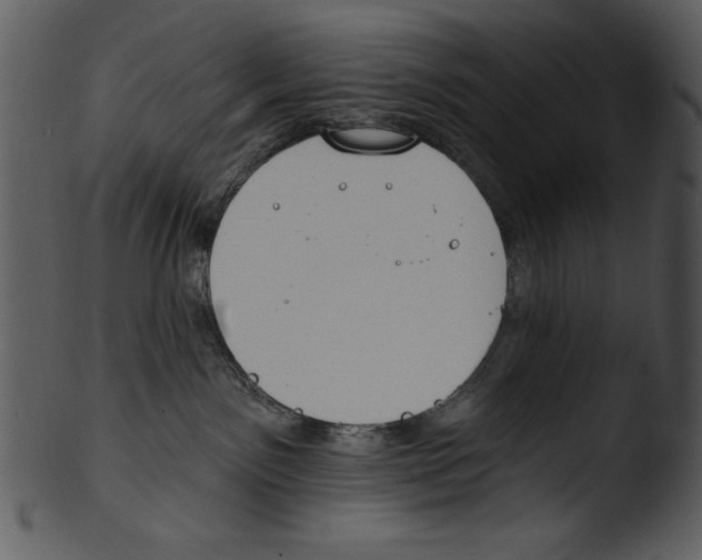 X0000103230141200809251313