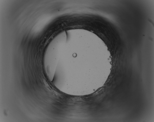 X0000103230146200809251312