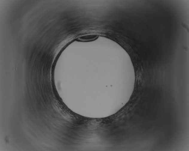 X0000103230148200809251312