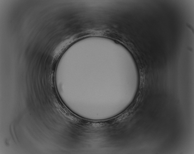 X0000103230149200809251312