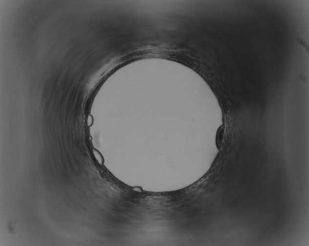 X0000103230150200809251312