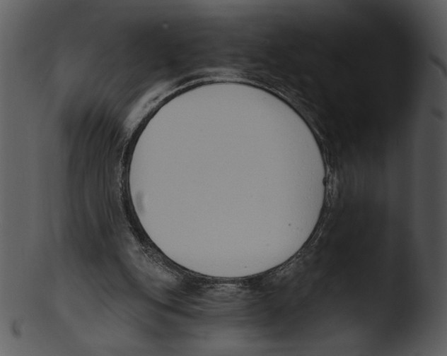 X0000103230151200809251312