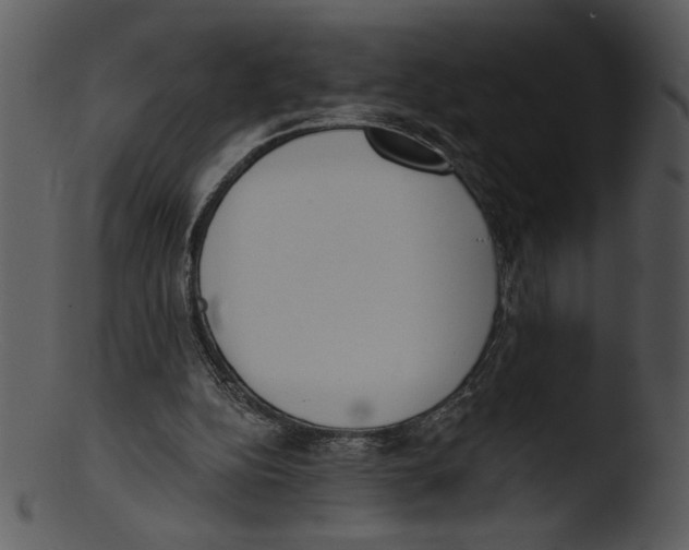 X0000103230152200809251312
