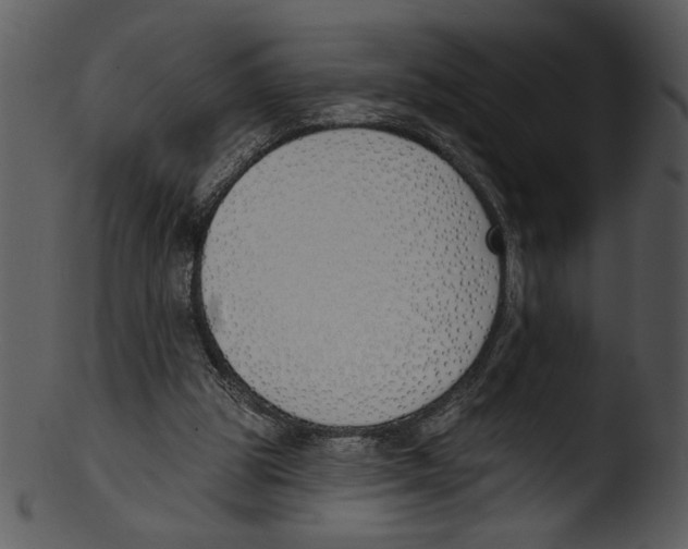 X0000103230153200809251312