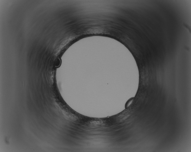 X0000103230160200809251312