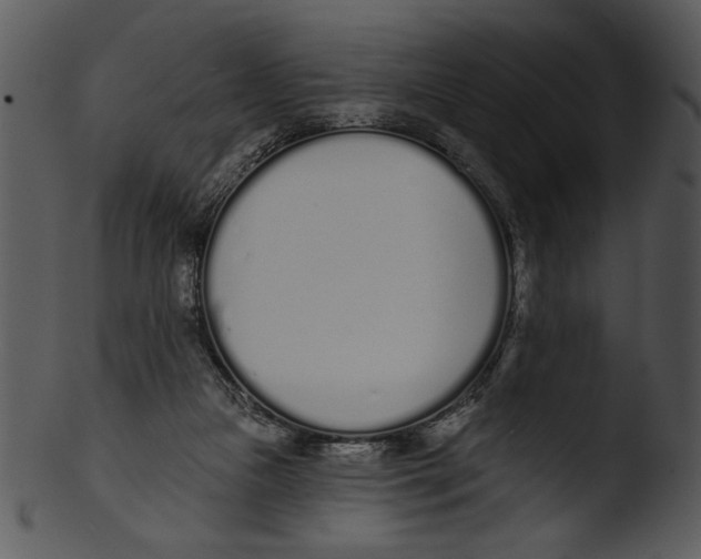 X0000103230161200809251312