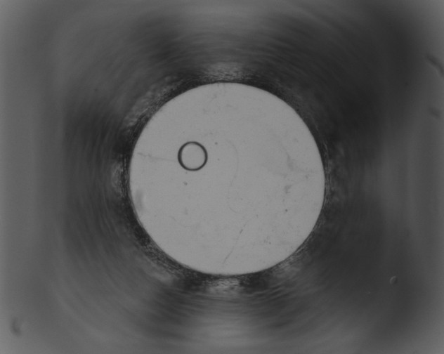 X0000103230162200809251312