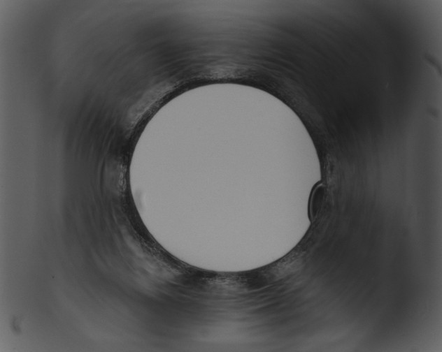 X0000103230164200809251312