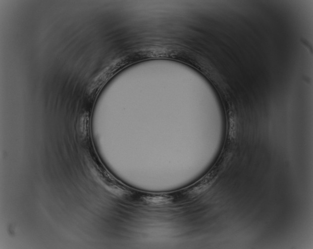 X0000103230165200809251312