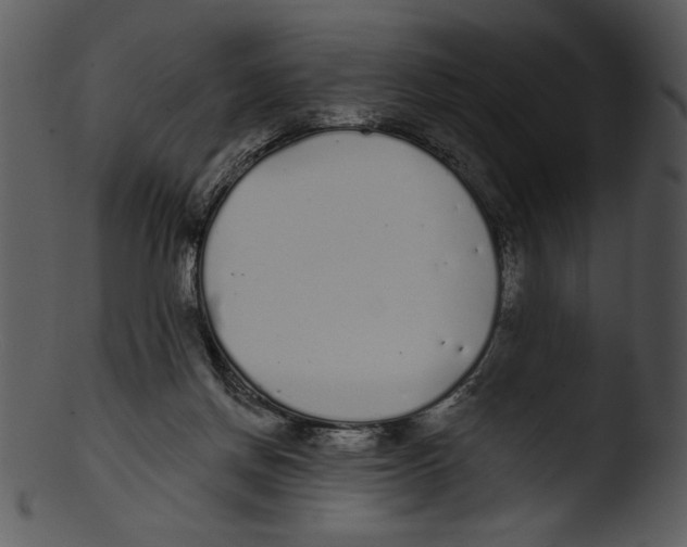 X0000103230166200809251312