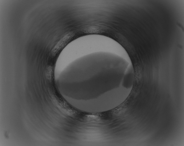 X0000103230167200809251312