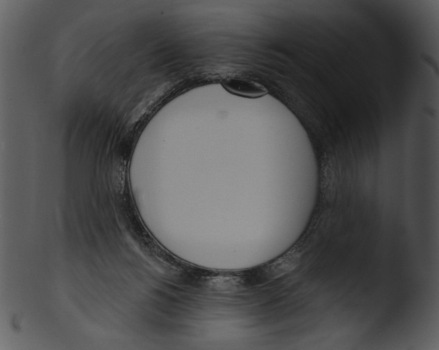 X0000103230168200809251312