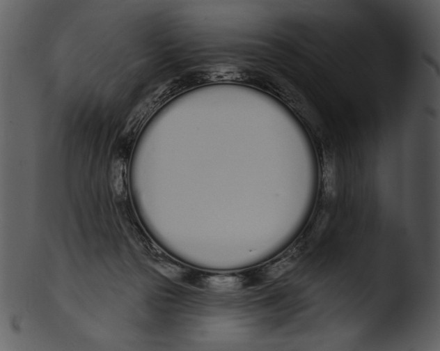 X0000103230169200809251312