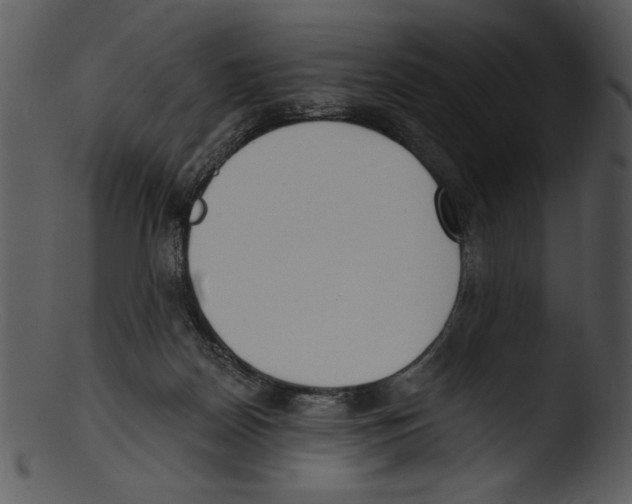 X0000103230170200809251312