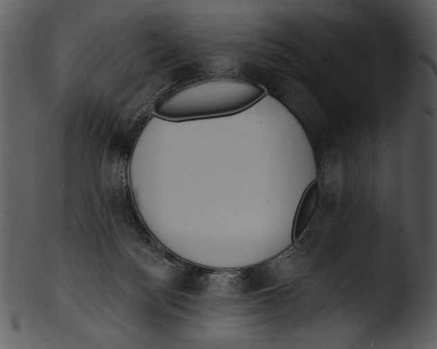 X0000103230172200809251313
