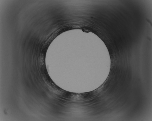 X0000103230174200809251313