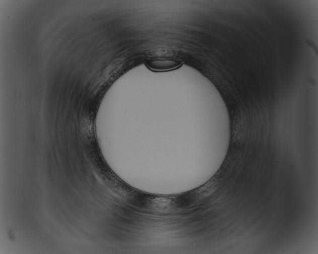 X0000103230176200809251313