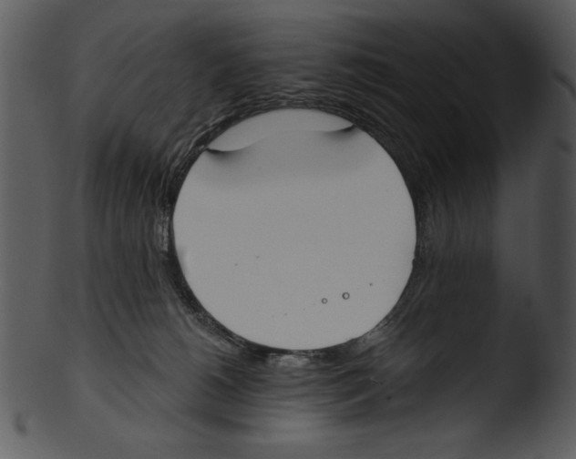 X0000103230180200809251313