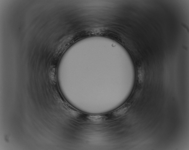 X0000103230181200809251313
