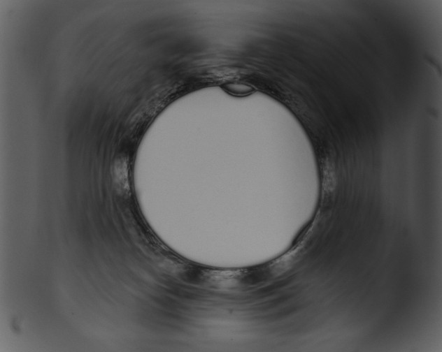 X0000103230182200809251313