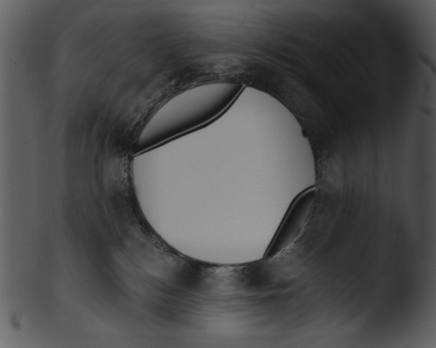 X0000103230184200809251313