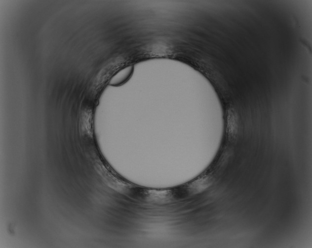 X0000103230185200809251313