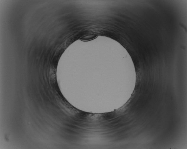 X0000103230186200809251313