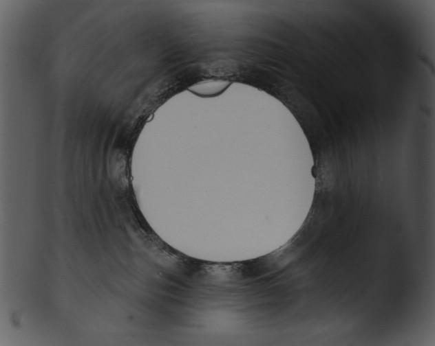 X0000103230187200809251313