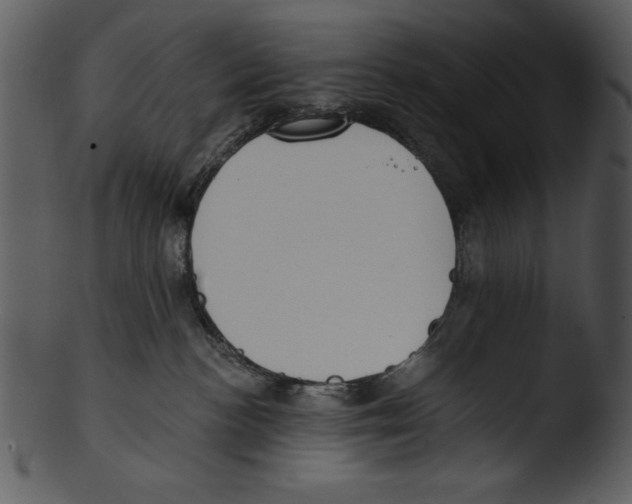 X0000103230188200809251313