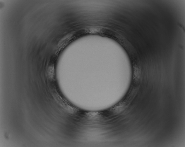 X0000103230189200809251313