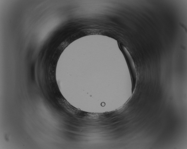 X0000103230190200809251313