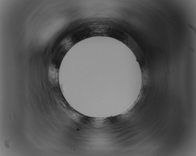 X0000103230191200809251313