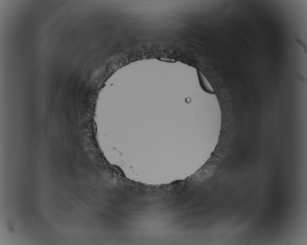 X0000103230192200809251313