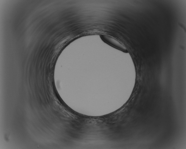 X0000103230193200809251312