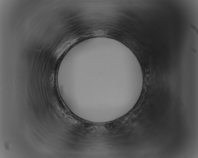 X0000103230194200809251312