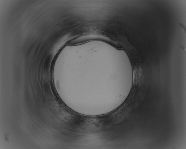 X0000103230195200809251312