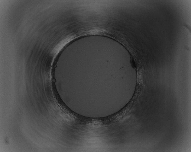 X0000103230196200809251312