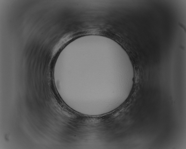 X0000103230198200809251312