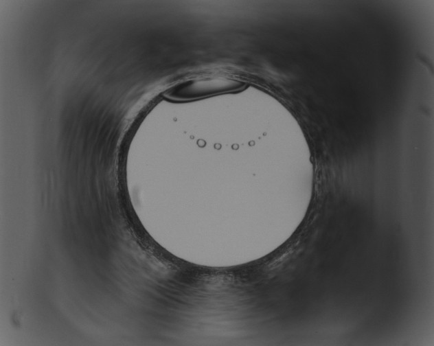 X0000103230200200809251312