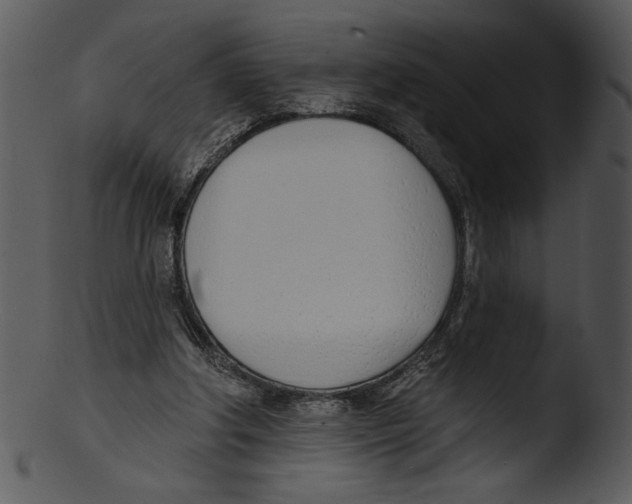 X0000103230202200809251312