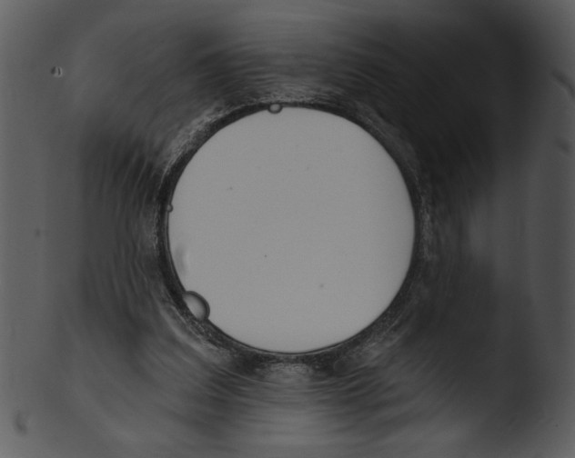 X0000103230203200809251312