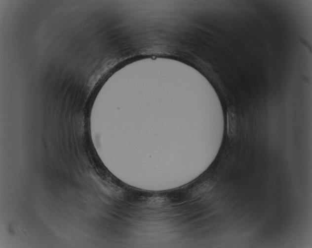 X0000103230204200809251312